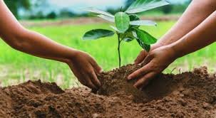 দুর্গতদের সাহায্য প্রদান